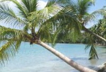 Playa Blanca Baru Tour